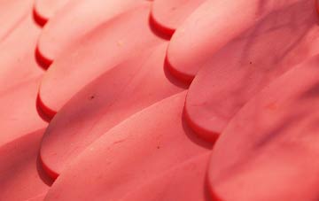 Stoodleigh plastic roof costs