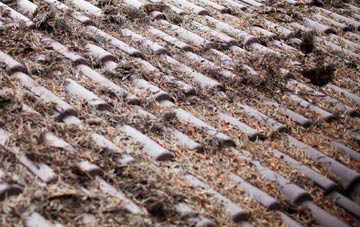 Stoodleigh roof cleaning companies