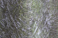 Stoodleigh fibreglass roof work